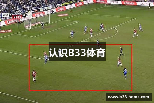 认识B33体育
